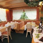 Hotell Alpenhof 3*